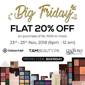 makeup revolution discount code 2018